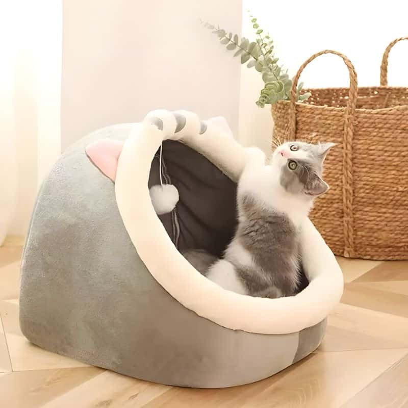 lit chaton pas cher