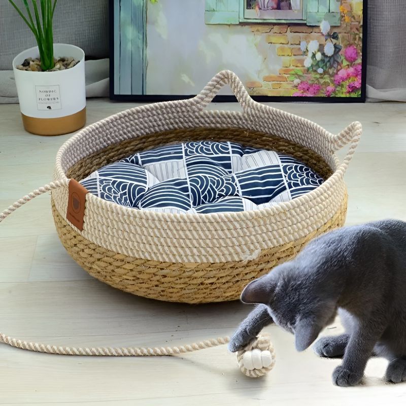 panier chat rotin avec chat qui s'amuse