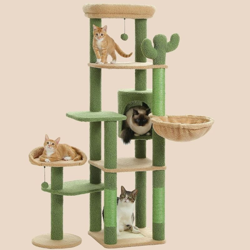 Arbre à chat pas cher avec un joli design