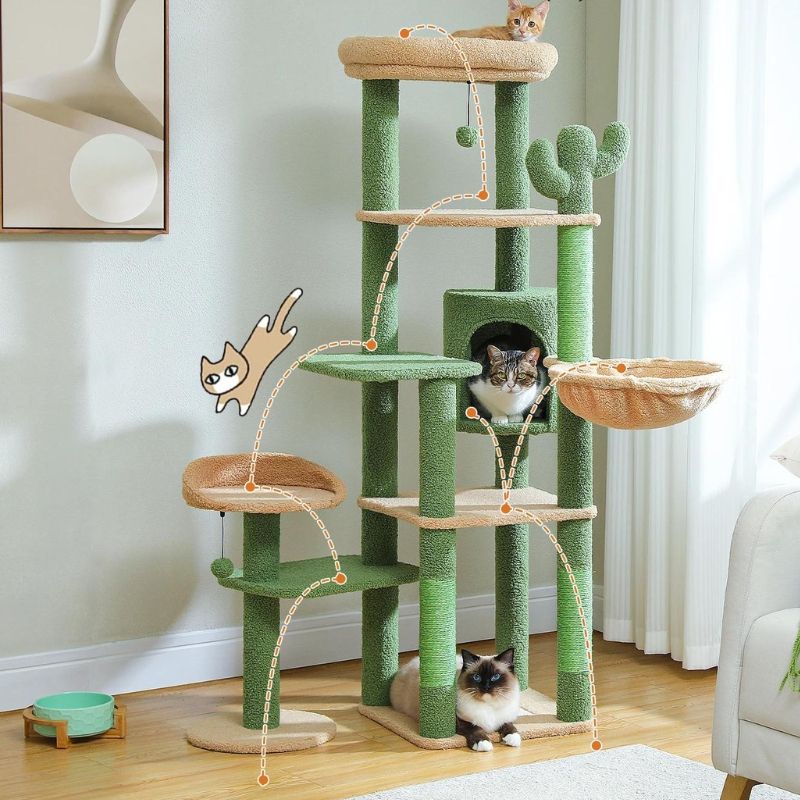 Arbre à chat pas cher avec des chats