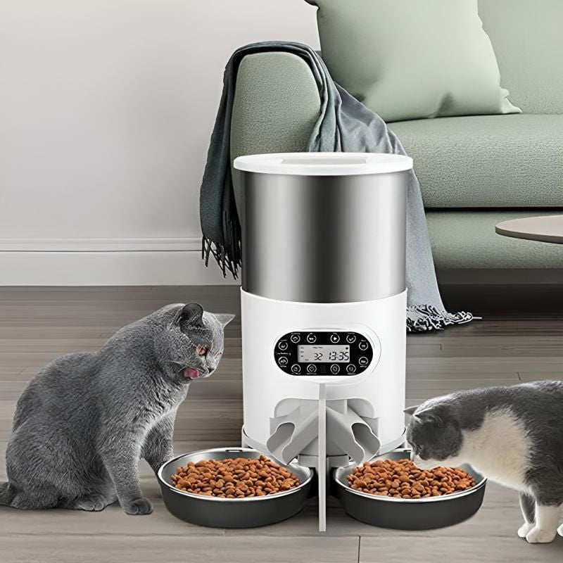 Distributeur à croquettes intelligent en inox avec des chats qui se nourrissent