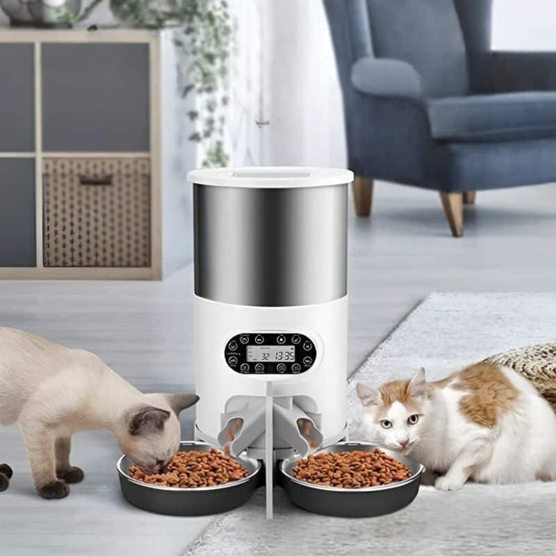Distributeur à croquettes intelligent en inox avec des chats qui mangent