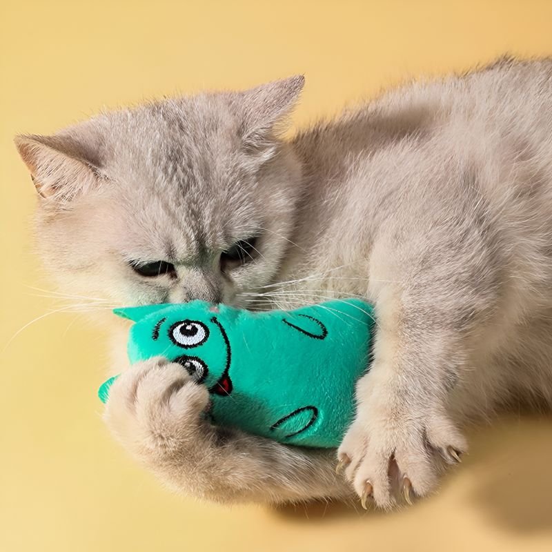 Doudou pour chat avec chat qui s'amuse