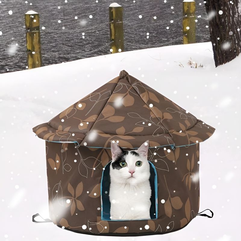 abri chat extérieur avec un chat à l'intérieur