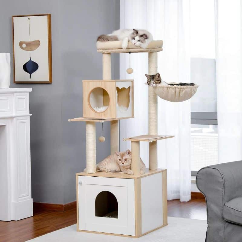 Arbre à chat à action avec des chats
