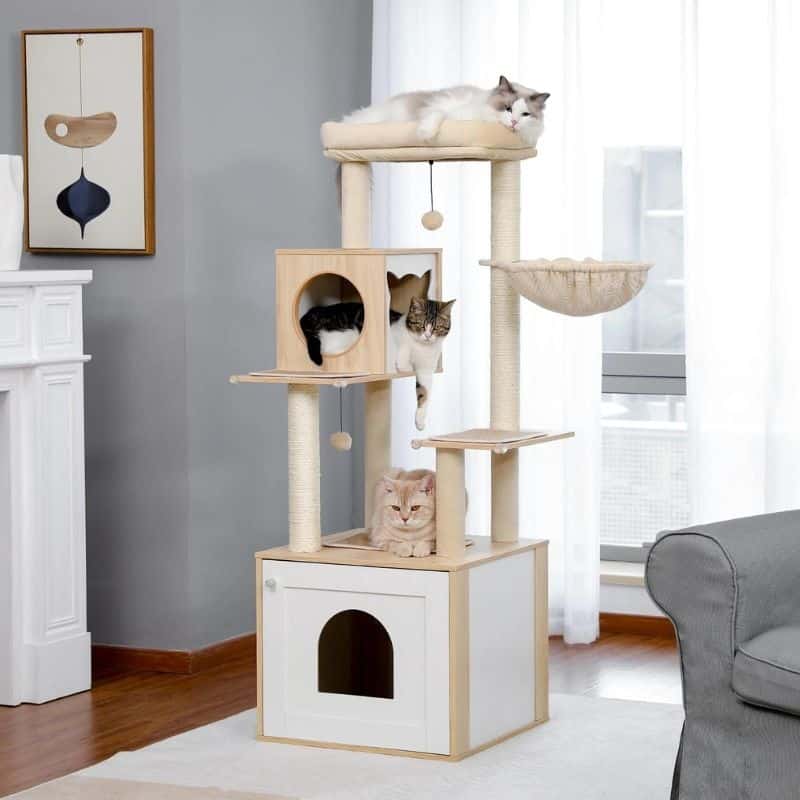 Arbre à chat à action avec des chats couchés confortablement