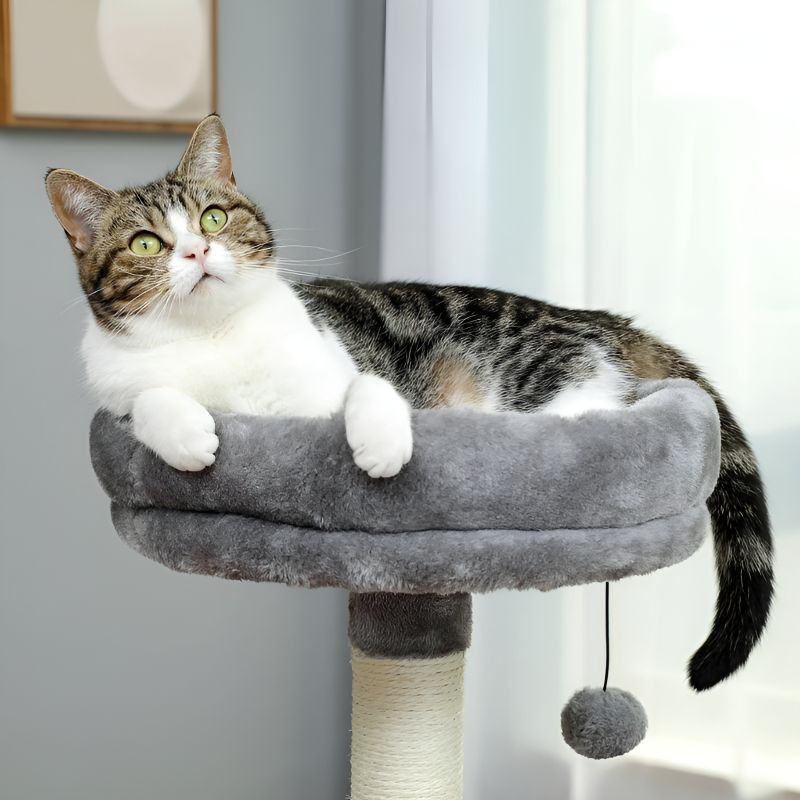 arbre à chat adulte avec un chat installé au sommet