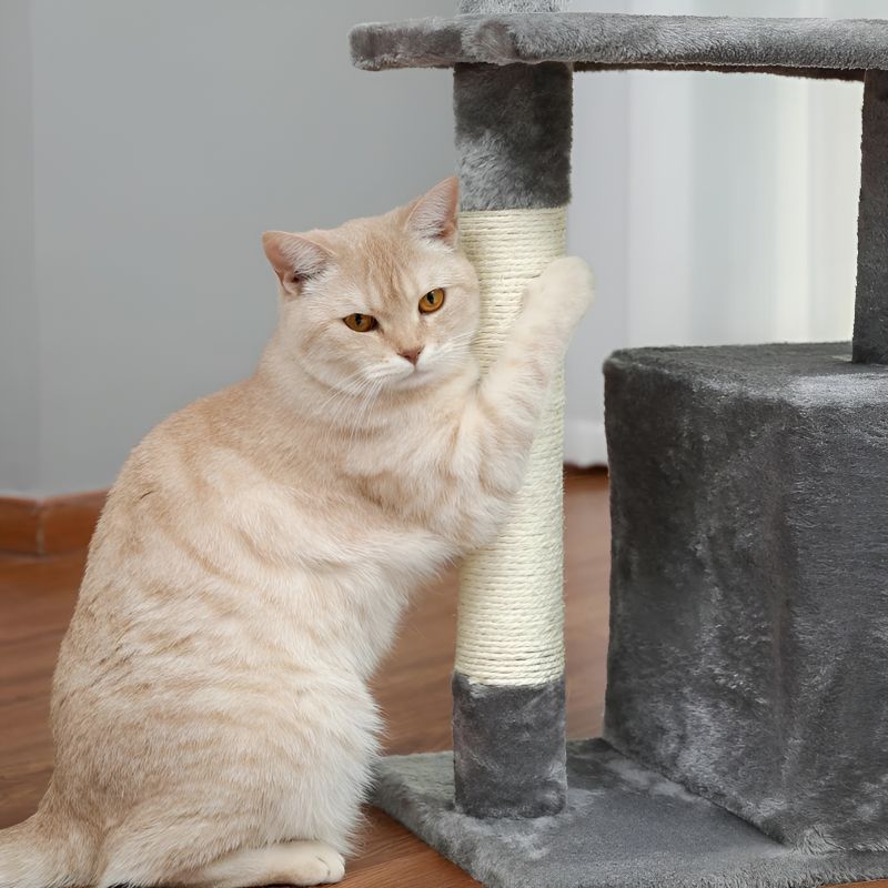 arbre à chat adulte avec chat en train de griffer