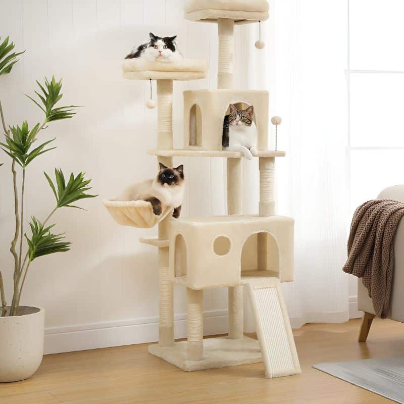 arbre à chat beige posé dans un coin de la maison