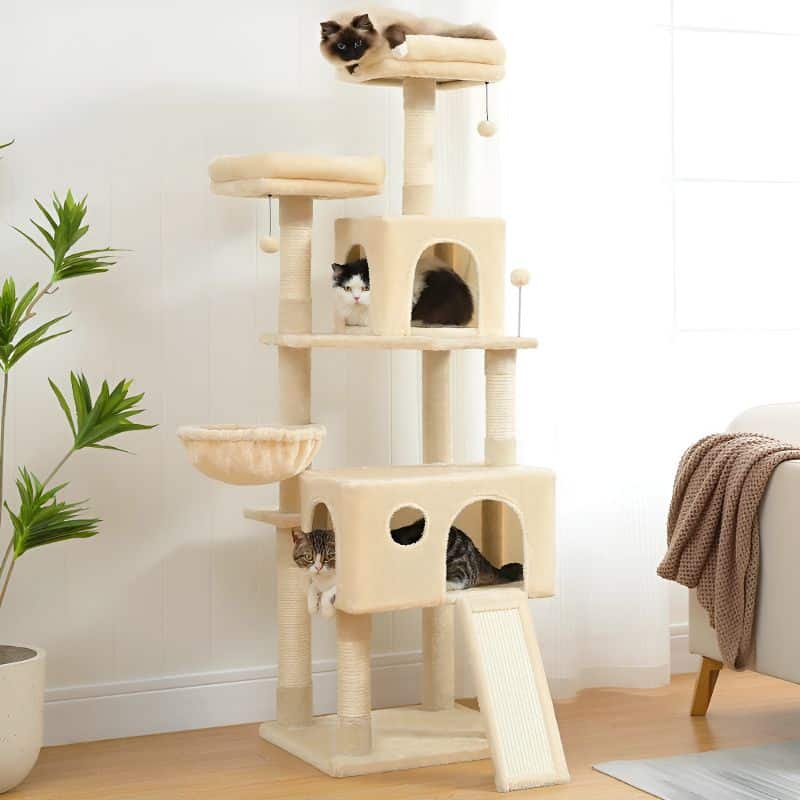 arbre à chat beige avec des chats dessus