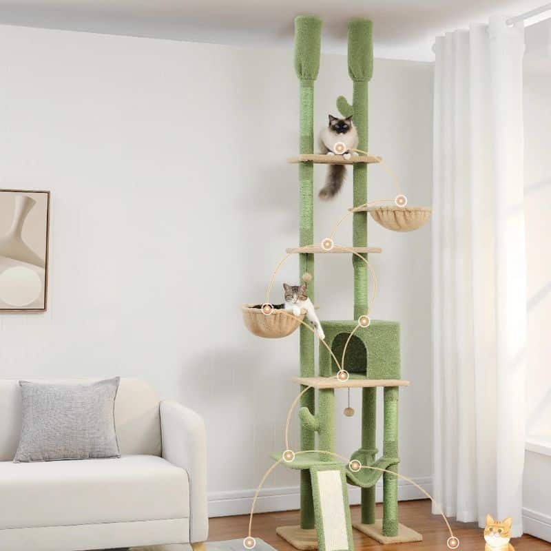 Arbre à chat extérieur idéal pour vos chats