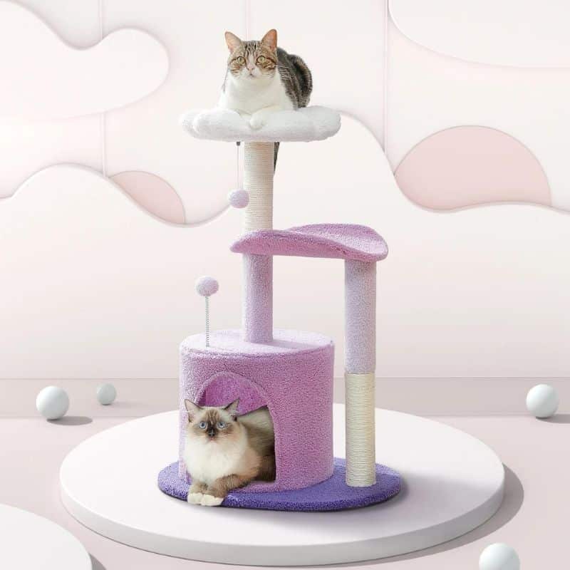 Arbre à chat à fleur durable et pratique