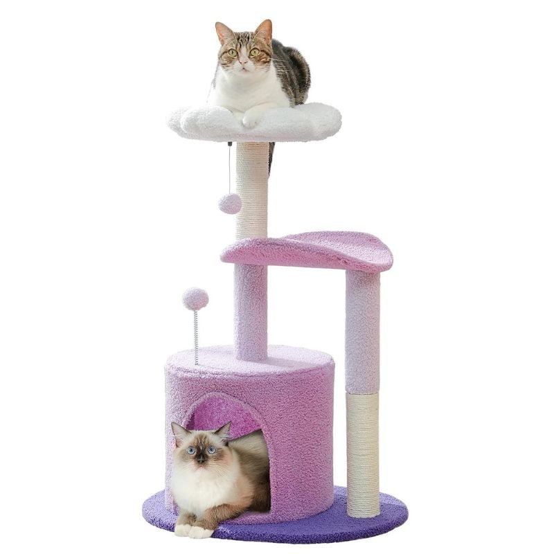 Arbre à chat à fleur avec des chats couchés 