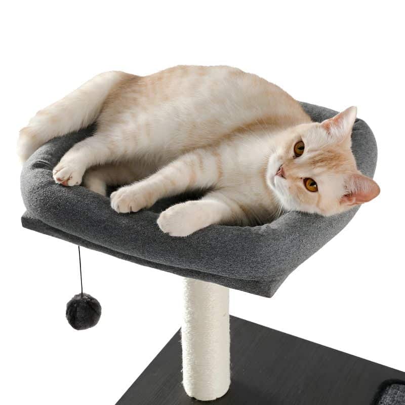 chat couché confortablement sur le coussin supérieur d'un arbre à chat solide
