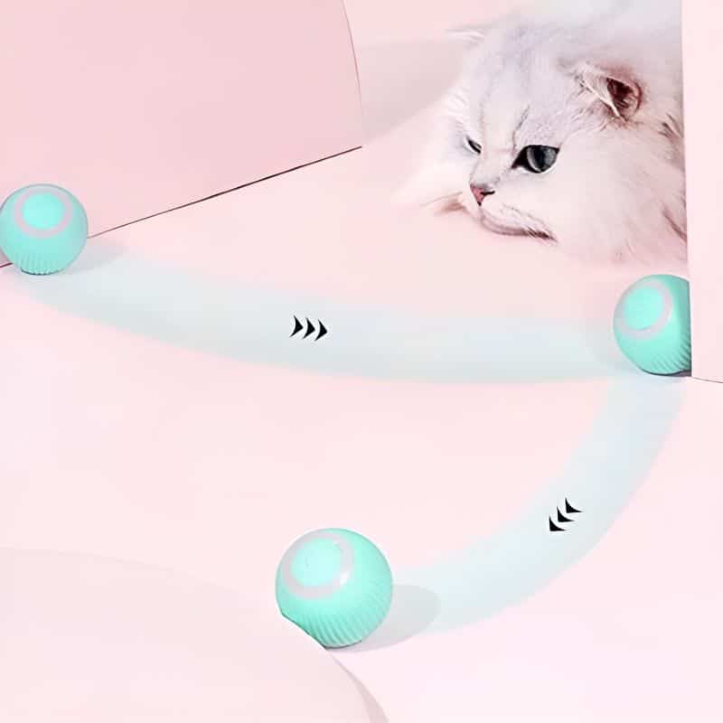 balle pour chat qui roule toute seule pas cher 1