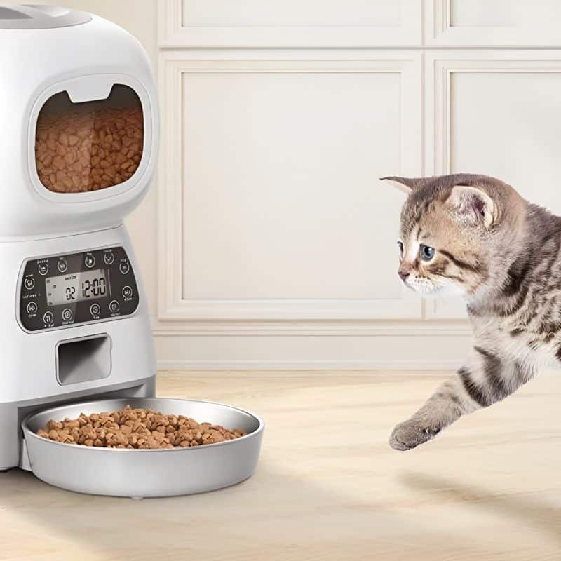 Boîte à croquette pour chat à un bon prix