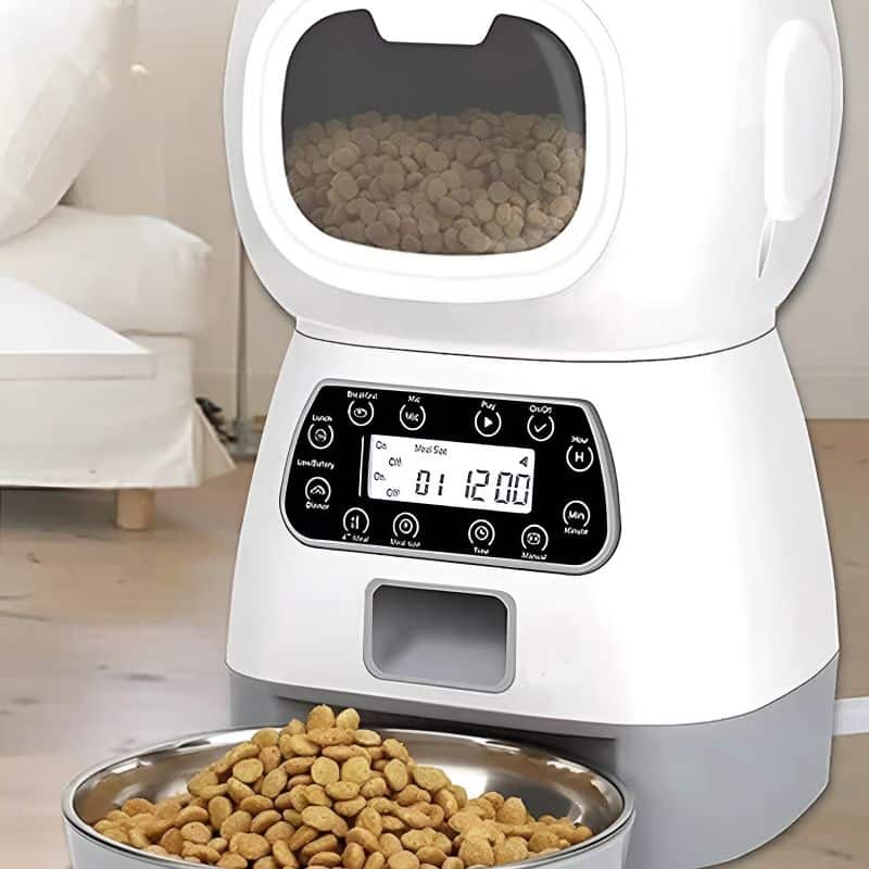 Boîte à croquette pour chat de bonne qualité