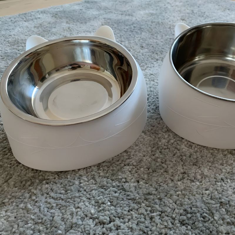 Bol pour chat en acier inoxydable idéal pour nourrir son chat
