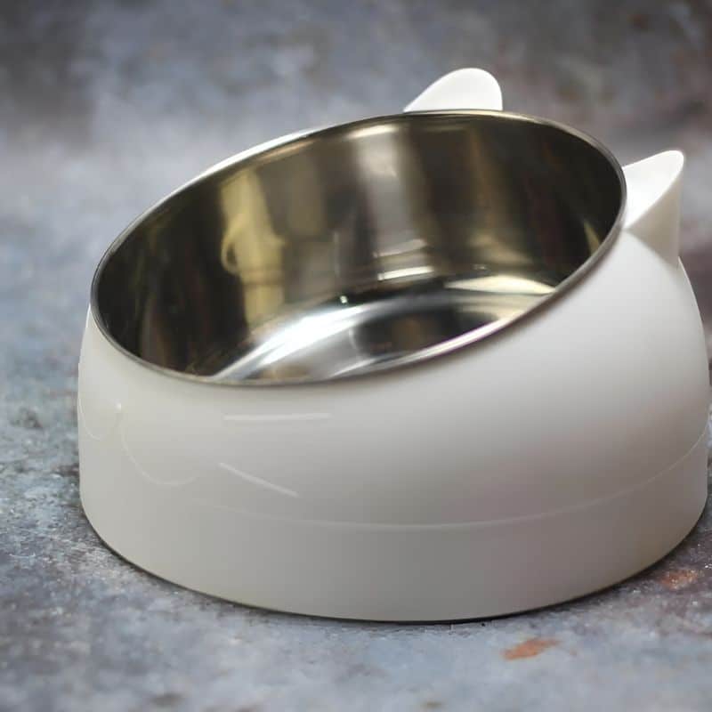 Bol pour chat en acier inoxydable avec un joli design