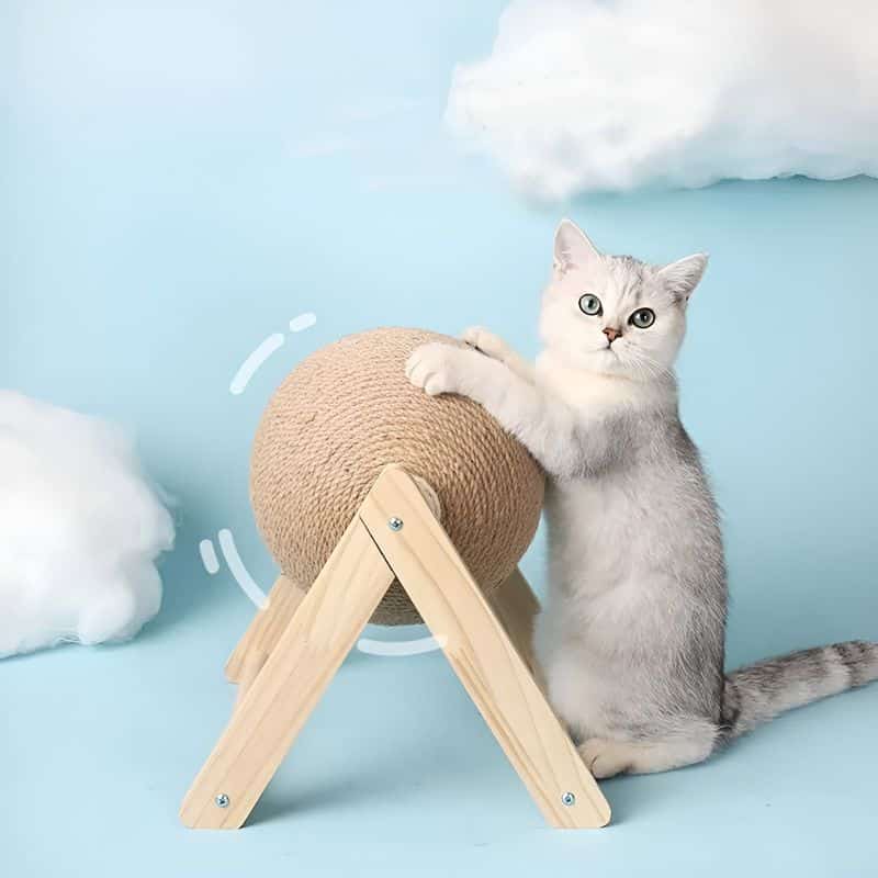 boule griffoir pour chat avec un chat en train de griffer