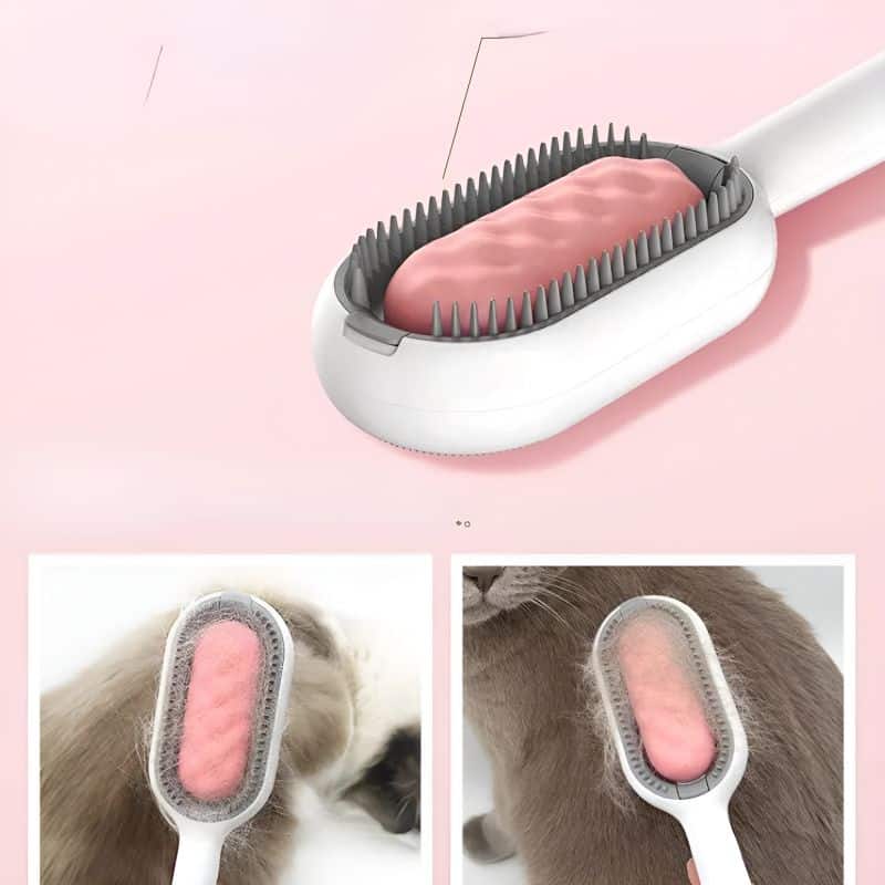 brosse anti poil chat efficace pour brosser efficacement son chat