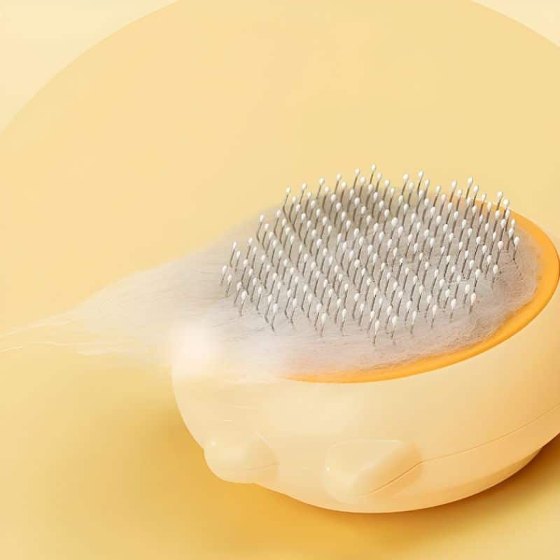 brosse chat poil court simple à utiliser