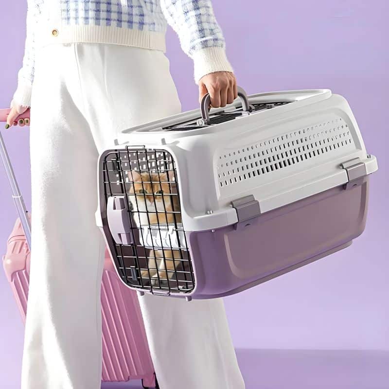 cage de transport chaton idéal pour transporter son chaton lors d'un voyage