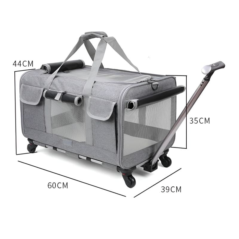 cage de transport pour chat poignée téléscopique avec un joli design