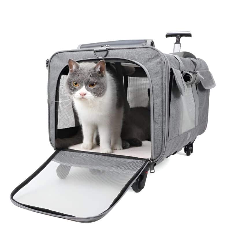 cage de transport pour chat poignée téléscopique avec chat à l'intérieur