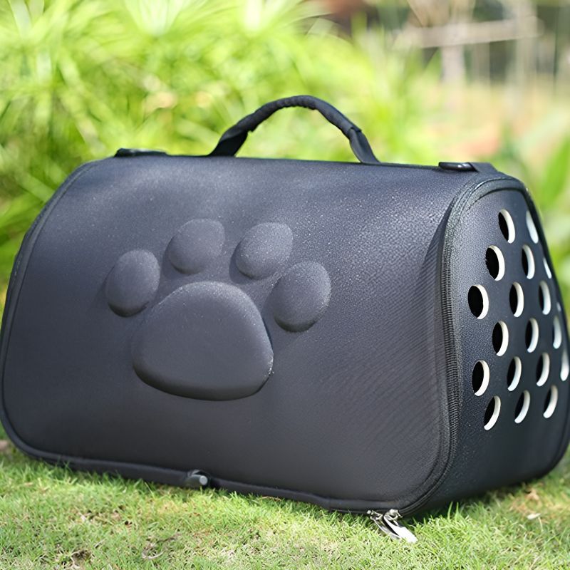 caisse de voyage pour chat pratique et durable