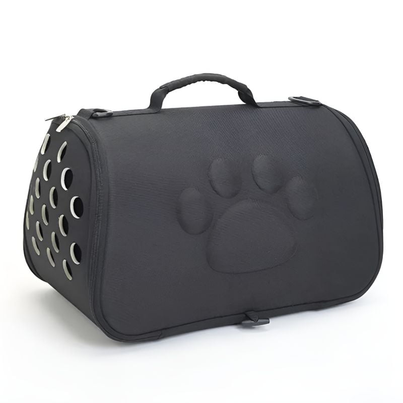 caisse de voyage pour chat avec un joli design