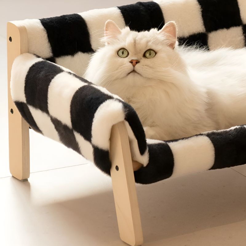 canapé pour chat avec un chat confortablement installé