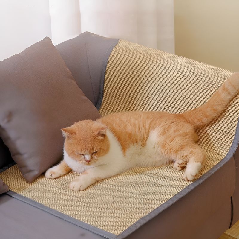 tapis contre chat griffe canapé multi usages 