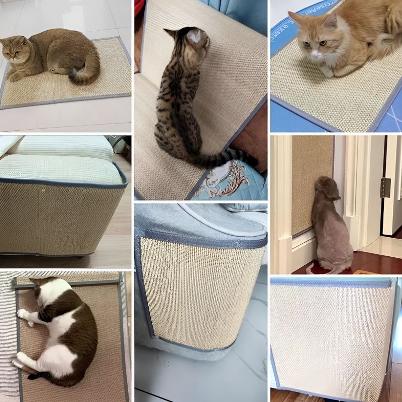 tapis contre chat griffe canapé facile à placer
