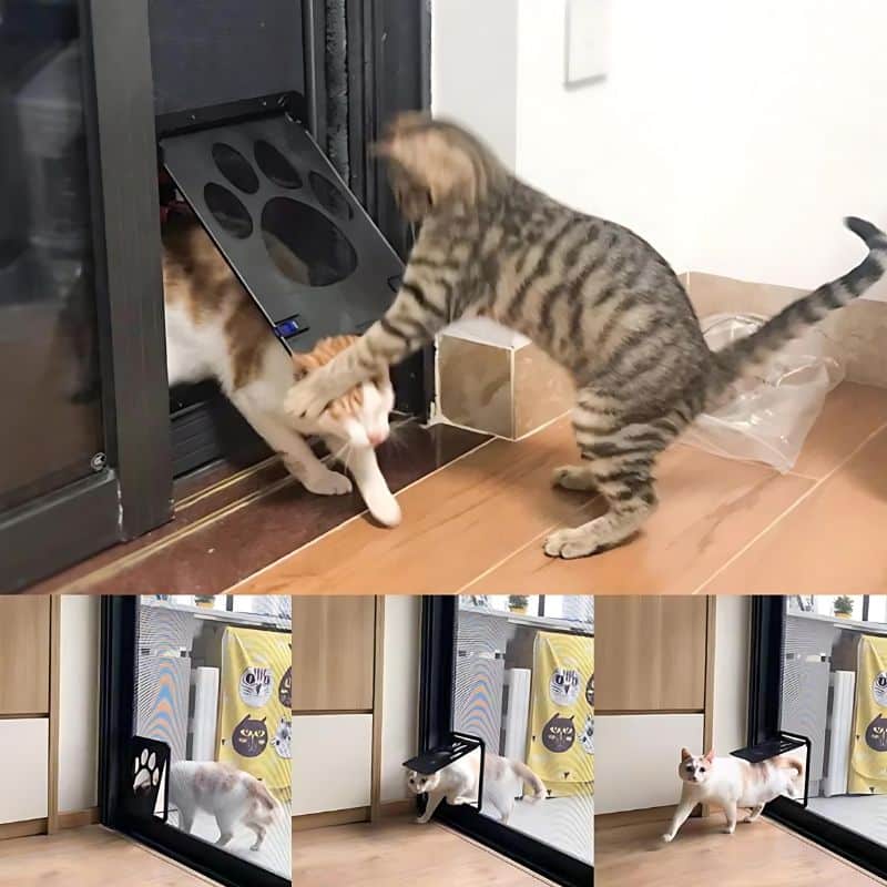 chatiere design très pratique pour contrôler les déplacements des chats