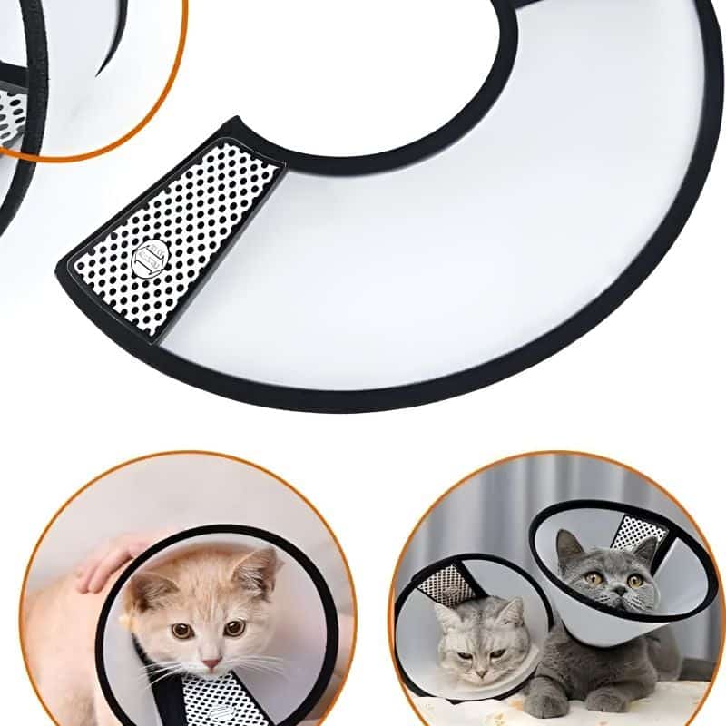 collerette chat confortable et durable
