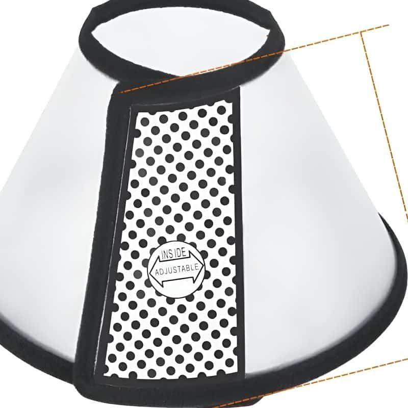 collerette chat idéale pour protéger votre chat