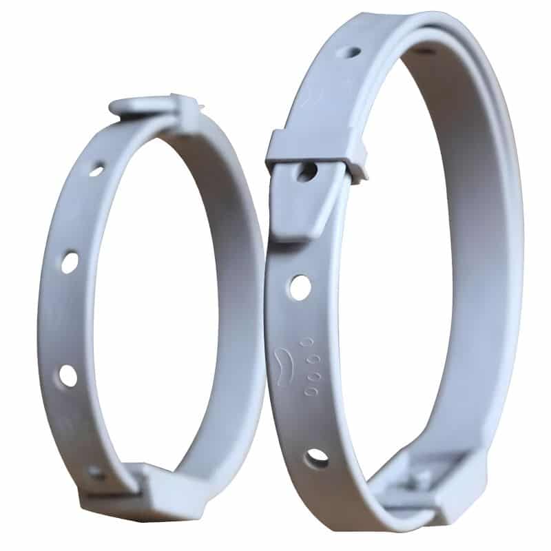collier anti puce chat ajustable pour le confort du chat