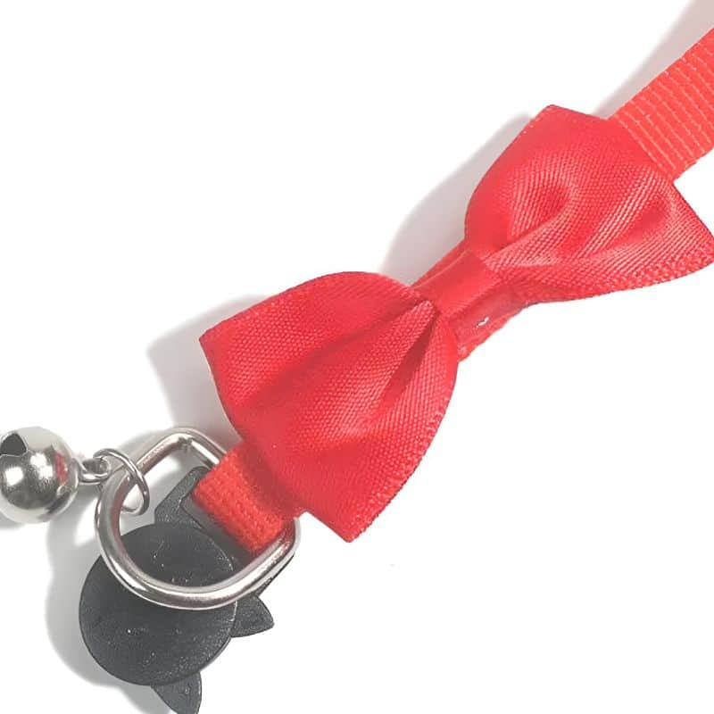 collier clochette chat avec nœud papillon