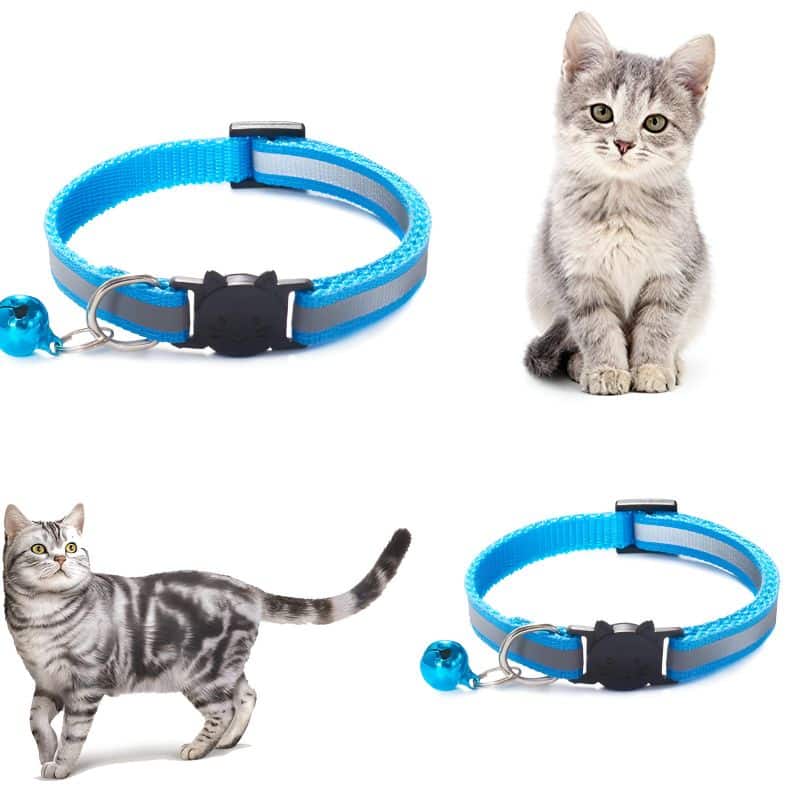 collier reflechissant chat à porter aux chats