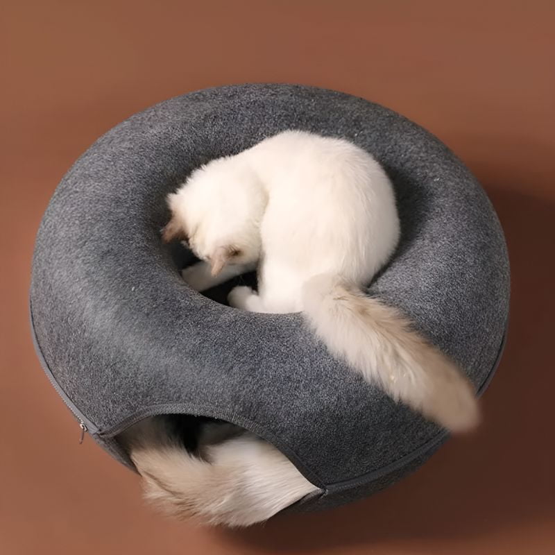 coussin donuts pour chat avec des chats couchés