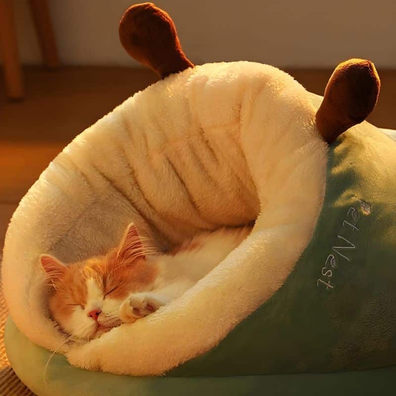 coussin douillet pour chat très confortable