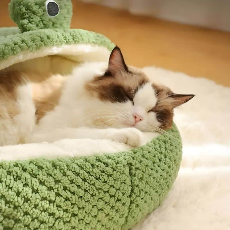 coussin grenouille pour chat avec un chat confortablement installé