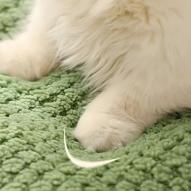 coussin grenouille pour chat bien douillet