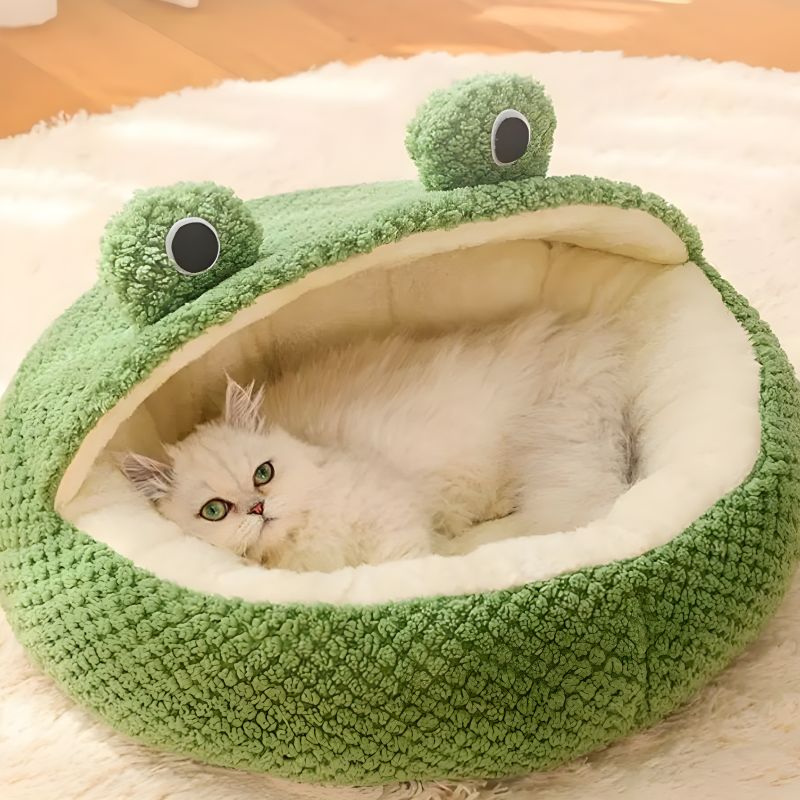 coussin grenouille pour chat avec un design joli et amusant