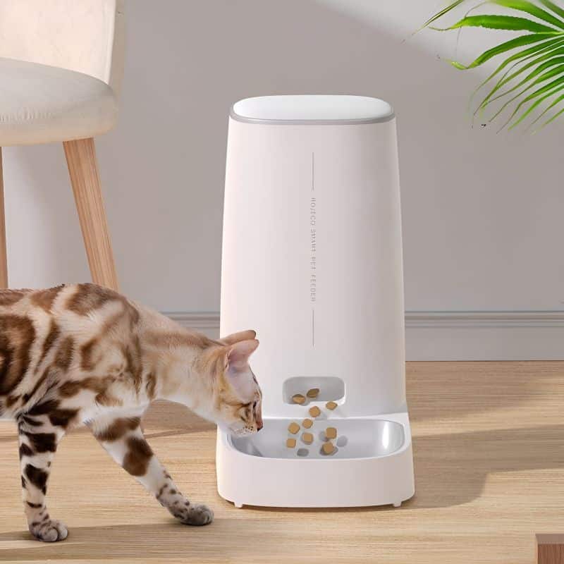 Distributeur automatique de croquettes pour chat à bon prix