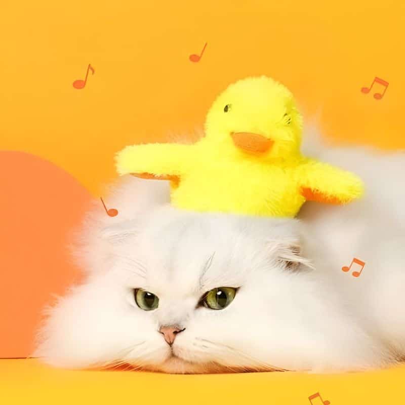 doudou chaton idéal pour amuser son chaton