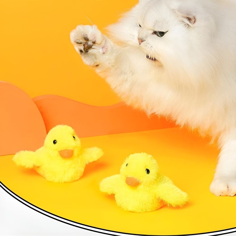 doudou chaton avec chat qui s'amuse