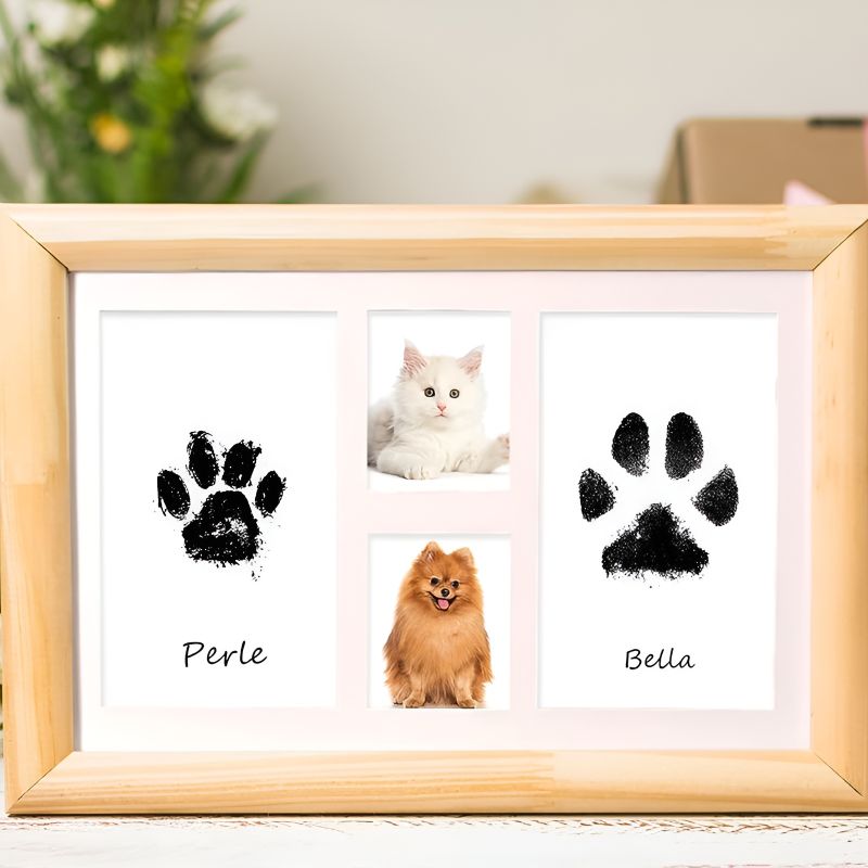 empreinte chat qualite 1