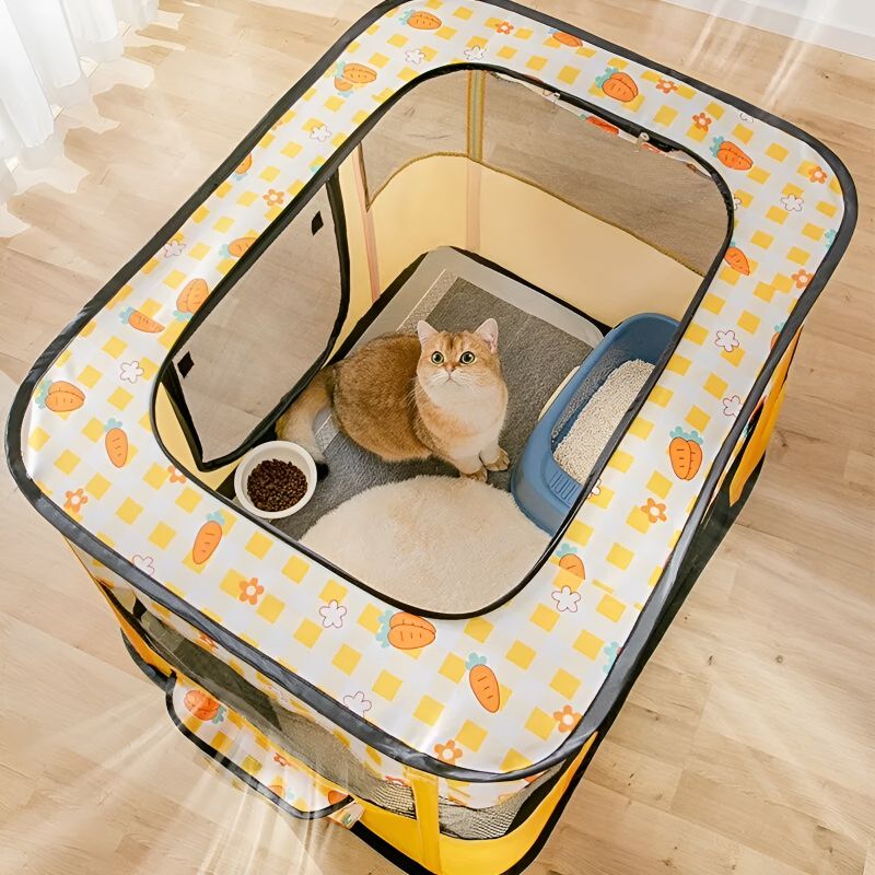 enclos chat avec un chat installé à l'intérieur